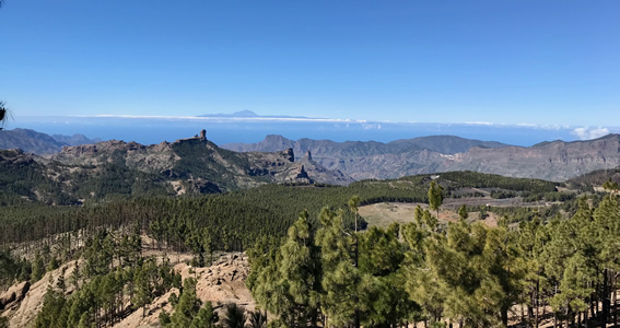 View from Pico las Nievas